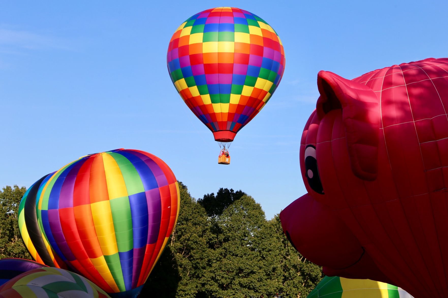 Adirondack Balloon Festival 2019 3